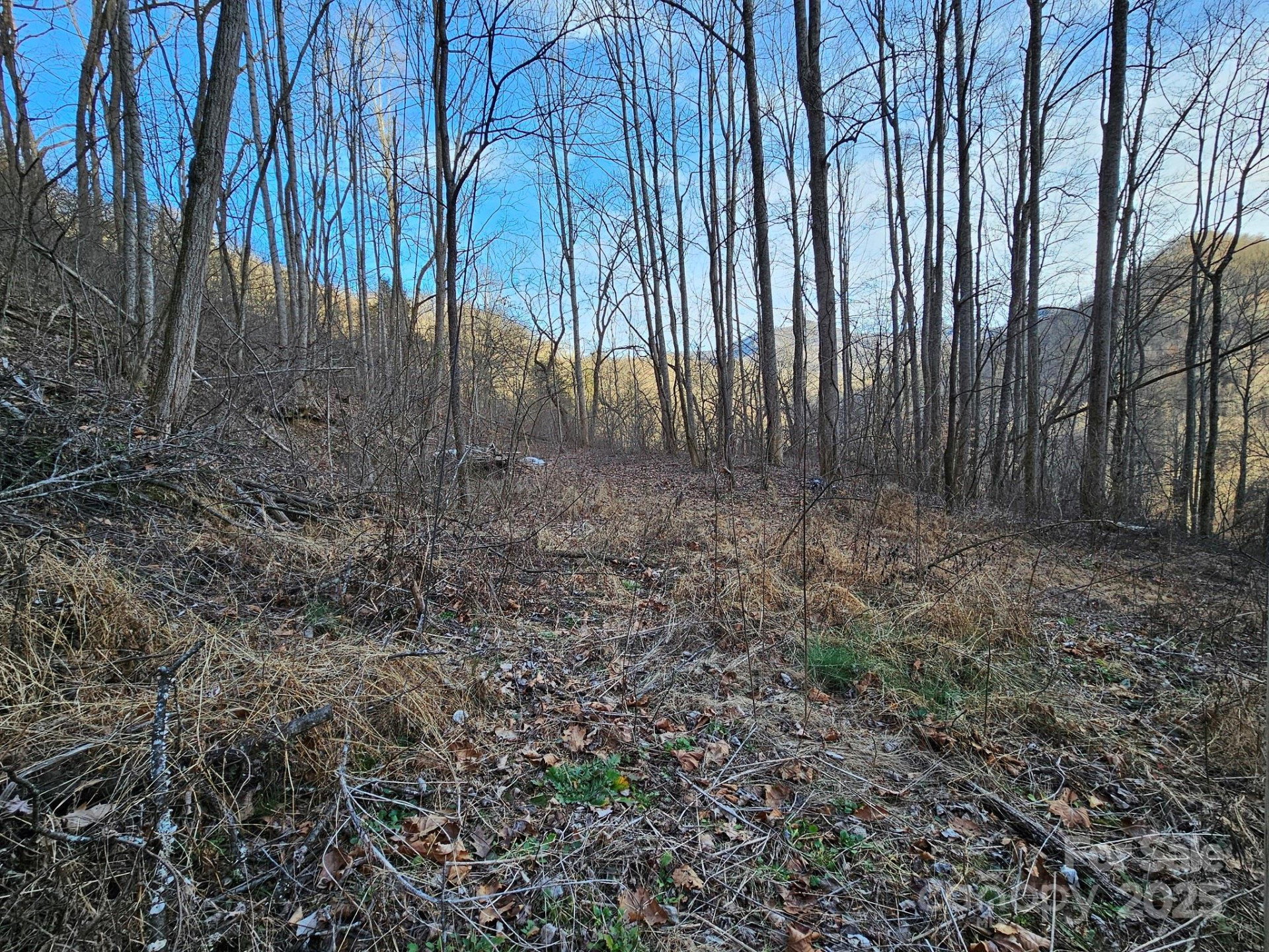 80 Choke Berry Ridge - Photo 6