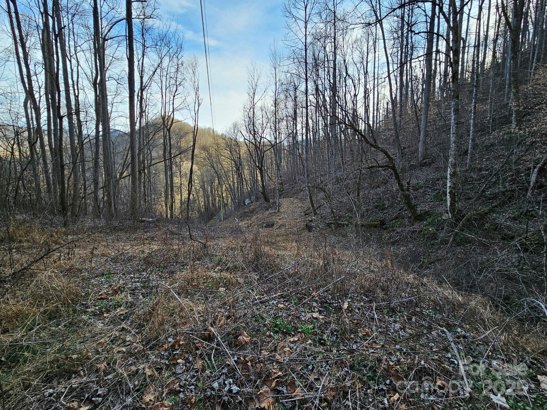 80 Choke Berry Ridge - Photo 7