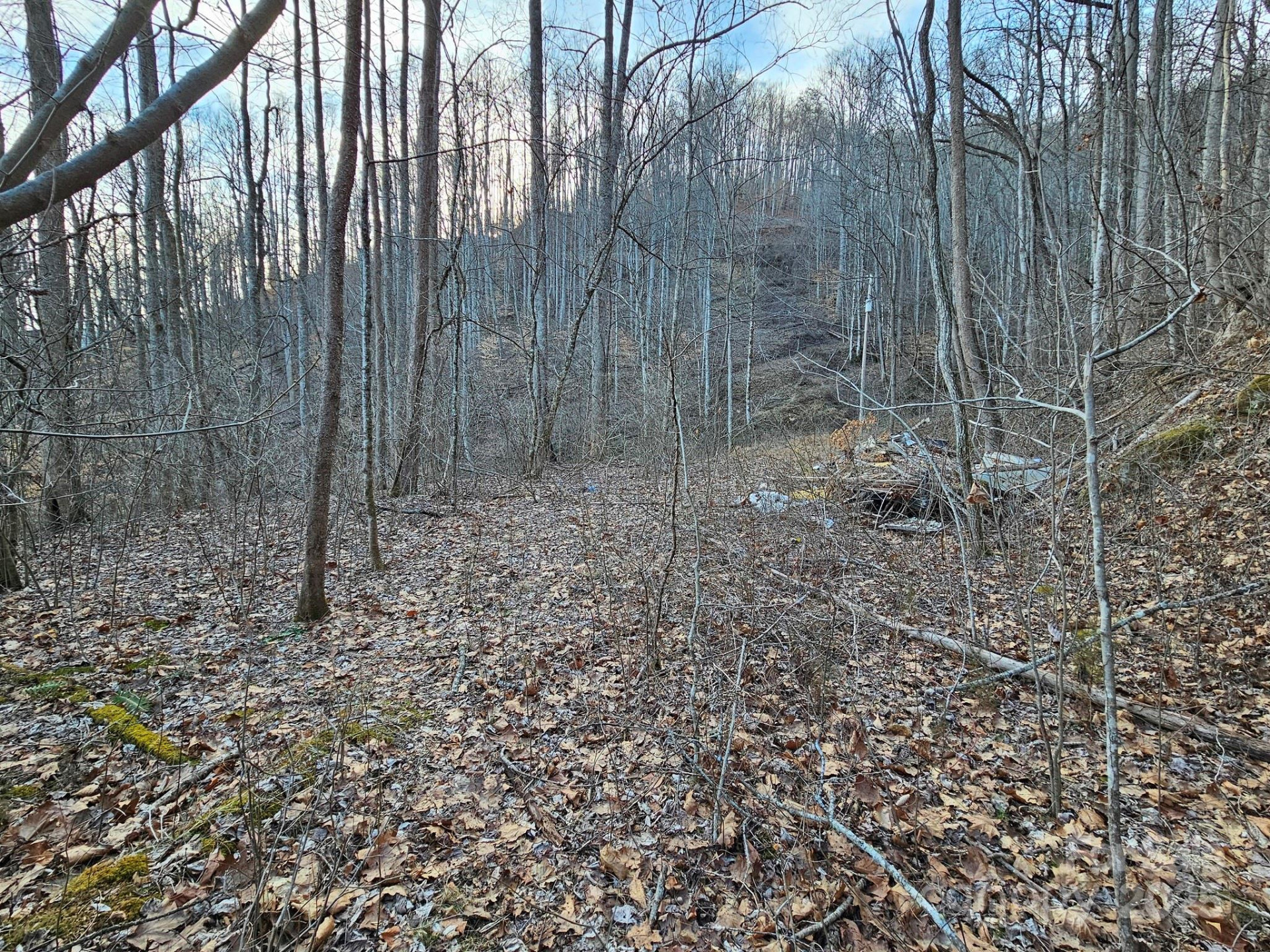 80 Choke Berry Ridge - Photo 8