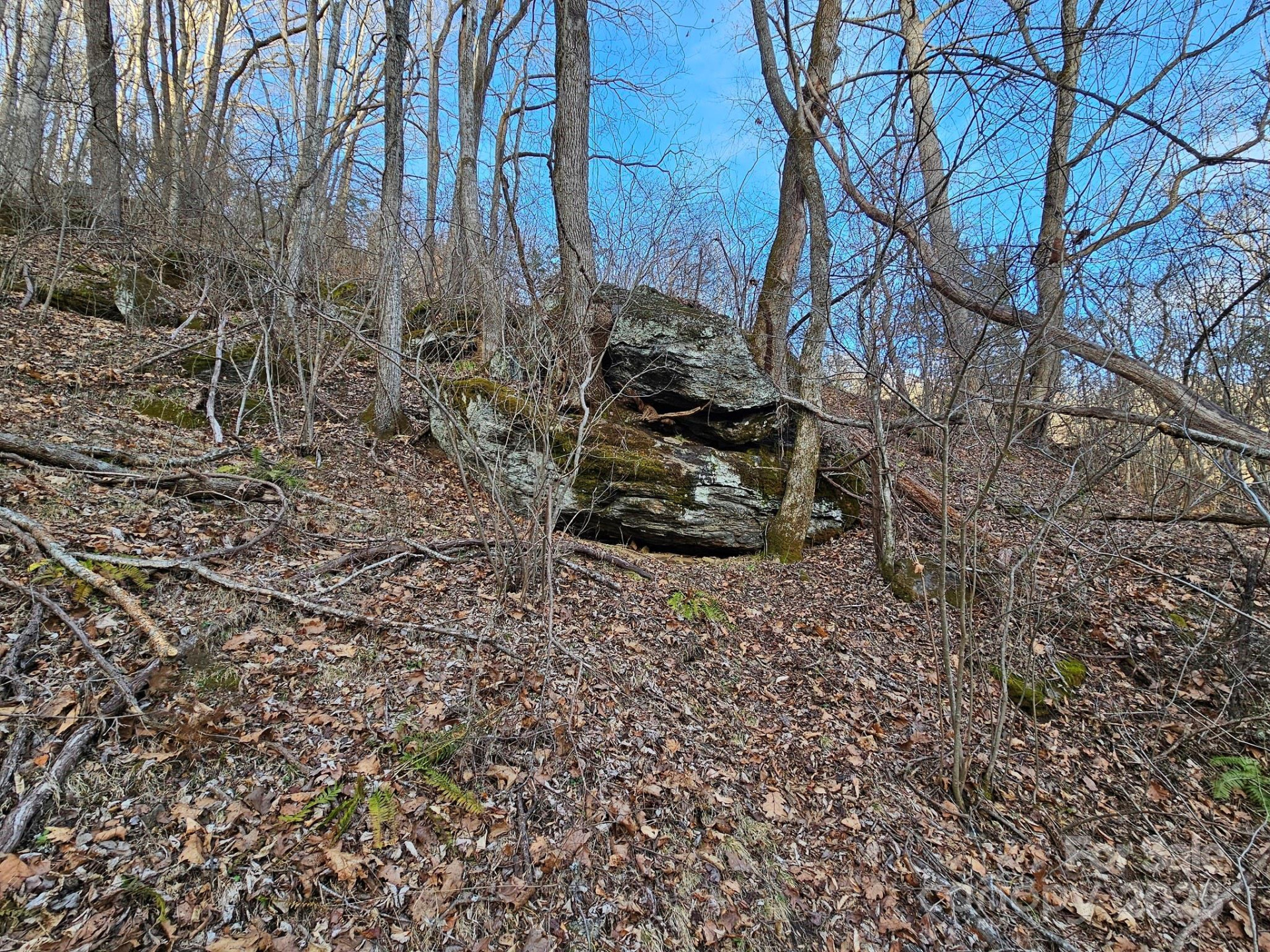 80 Choke Berry Ridge - Photo 9