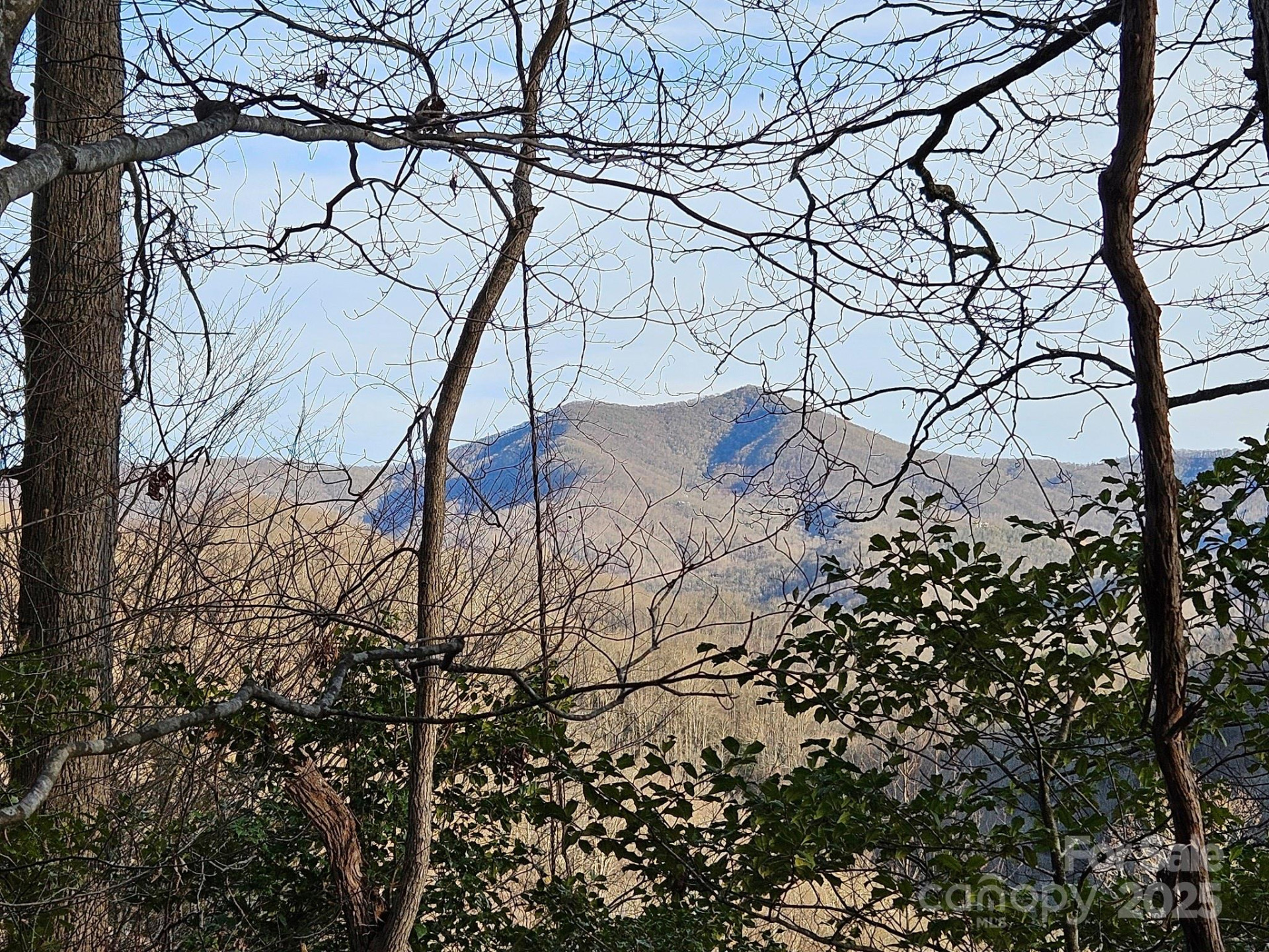 80 Choke Berry Ridge - Photo 10