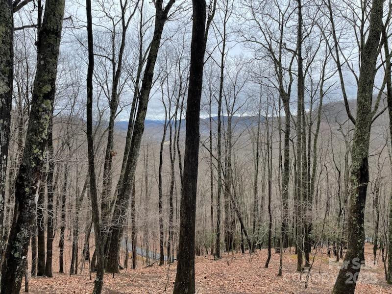 12 Hickory Springs Road #12 - Photo 2