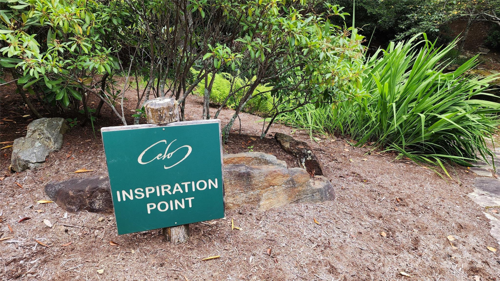 12 Hickory Springs Road #12 - Photo 11