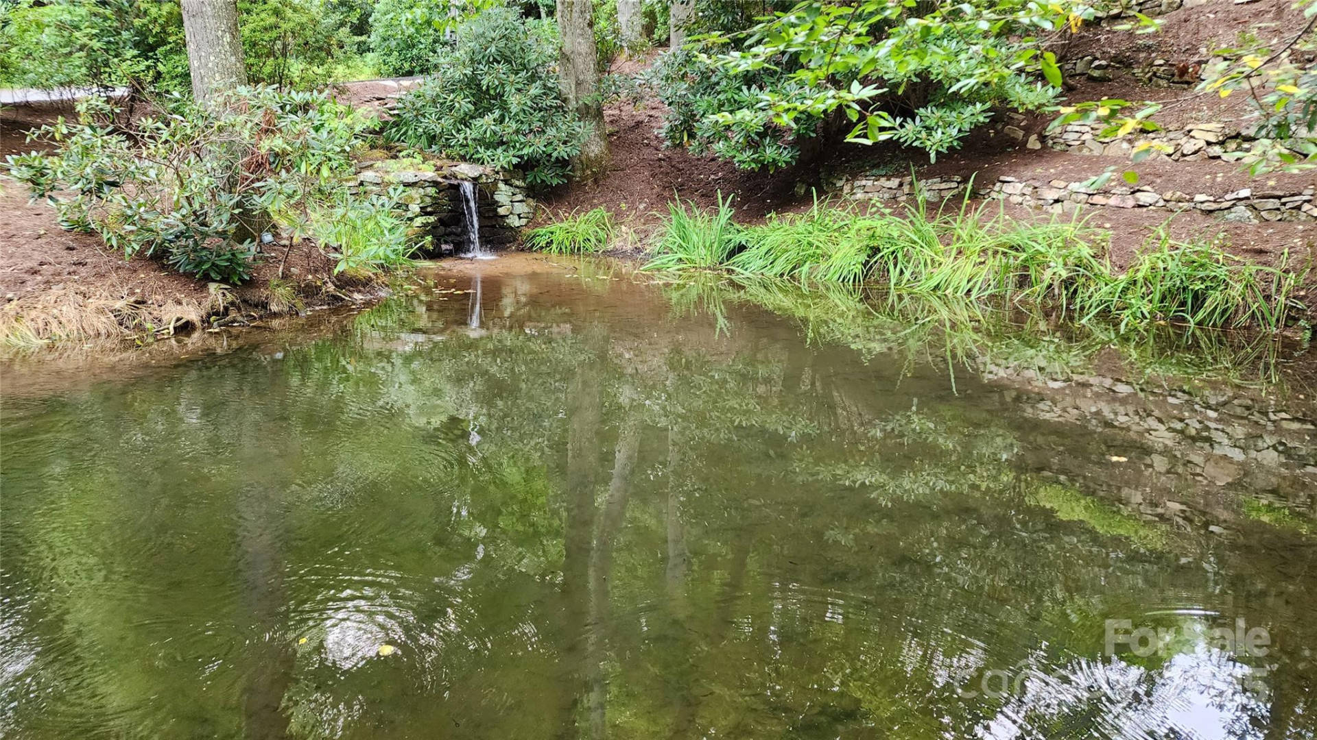 12 Hickory Springs Road #12 - Photo 12