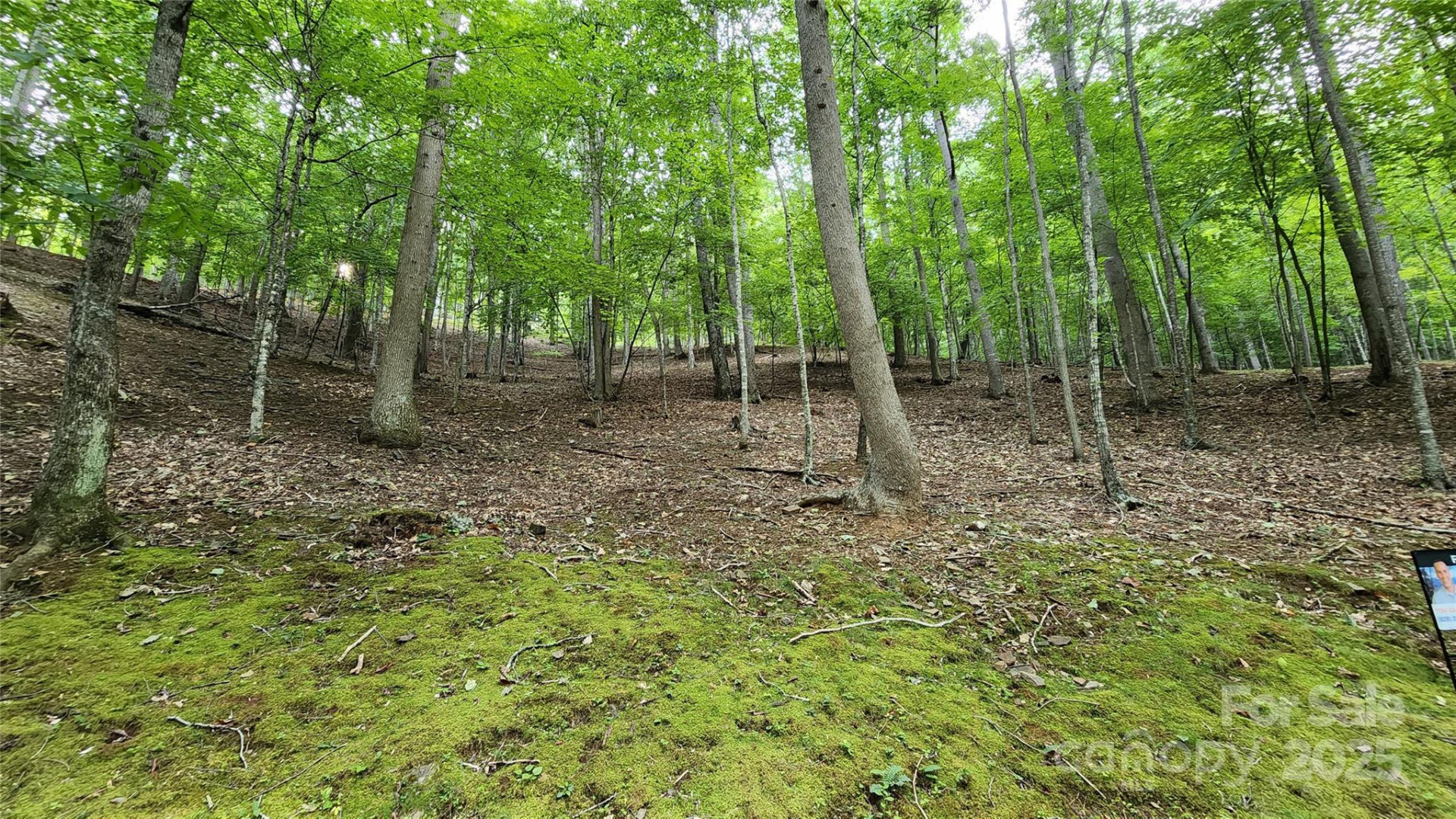 12 Hickory Springs Road #12 - Photo 4