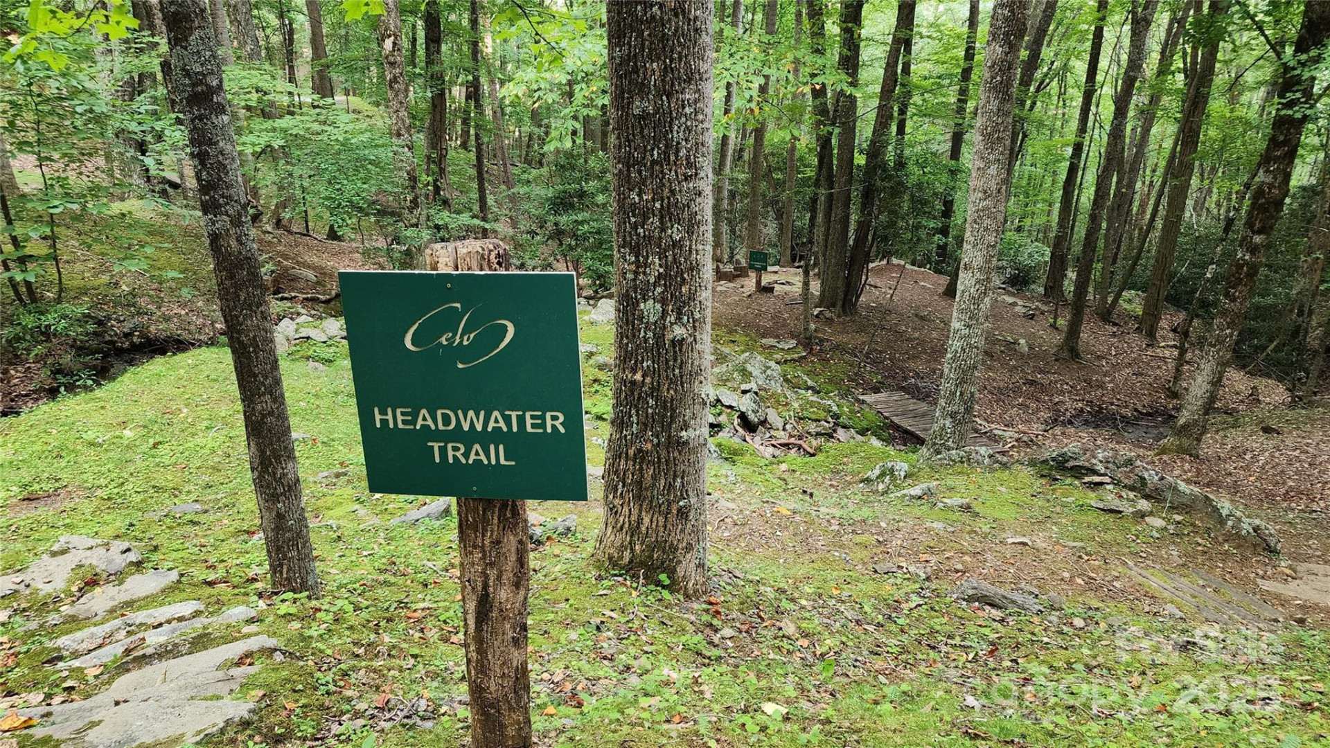 12 Hickory Springs Road #12 - Photo 9