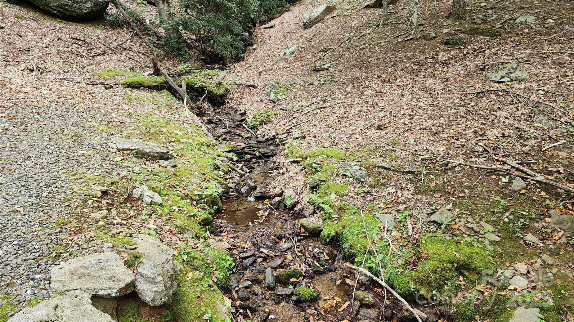 12 Hickory Springs Road #12 - Photo 10