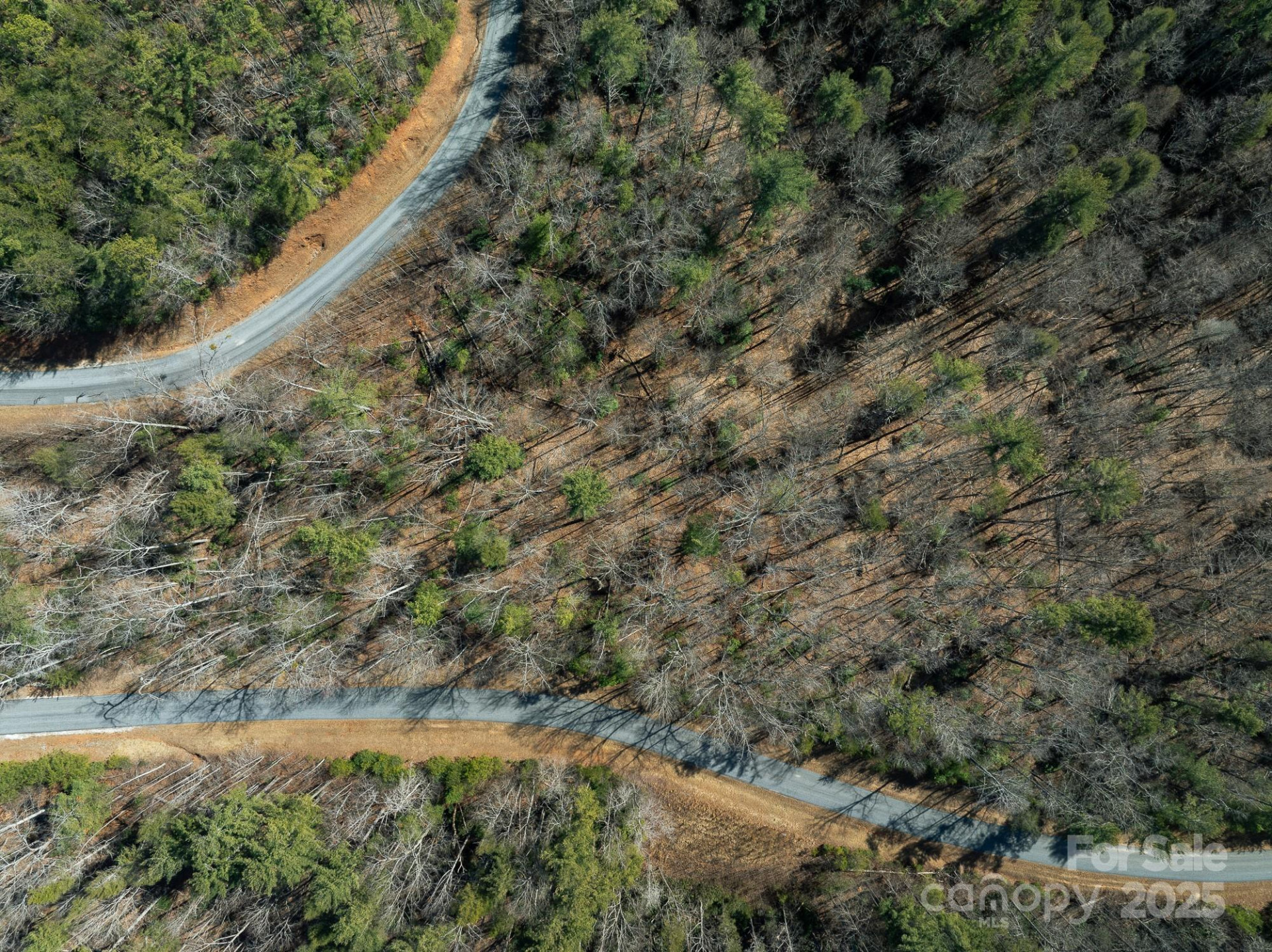 761 High Trail Drive #39 - Photo 2