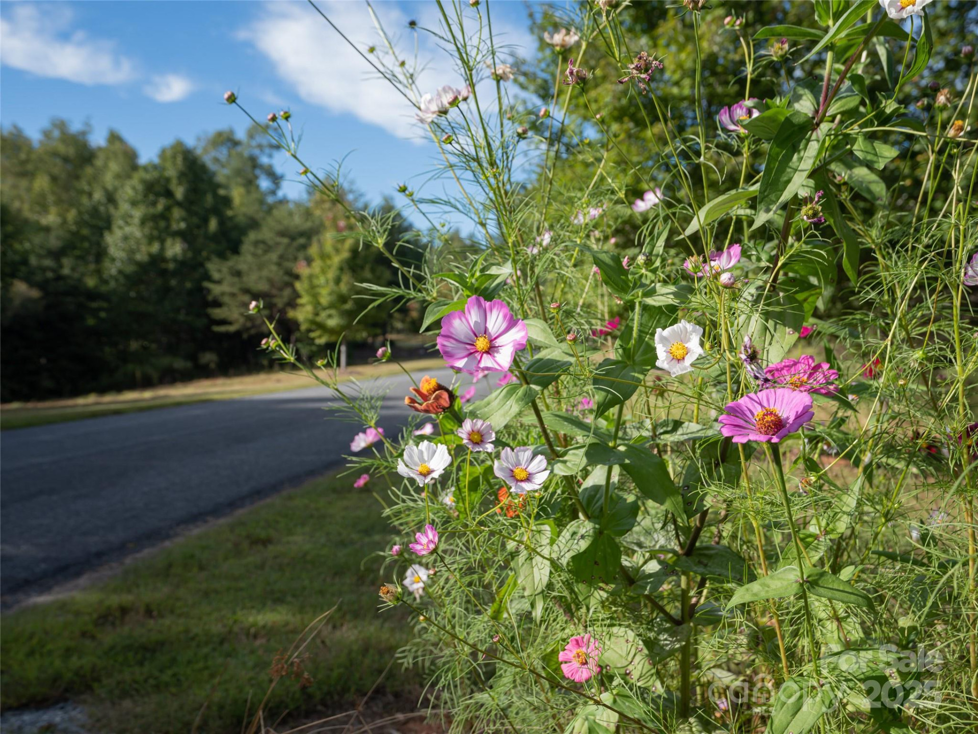 761 High Trail Drive #39 - Photo 9