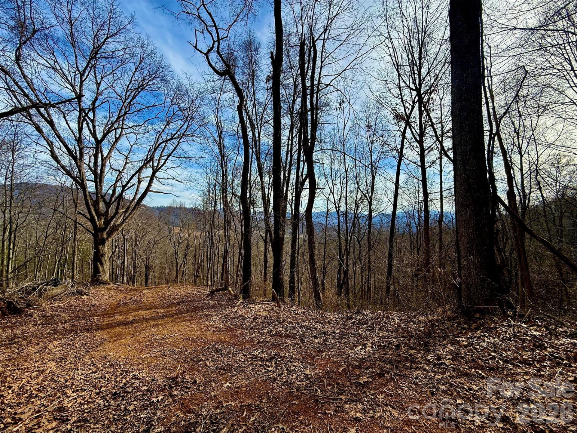 672 Porters Ridge - Photo 2