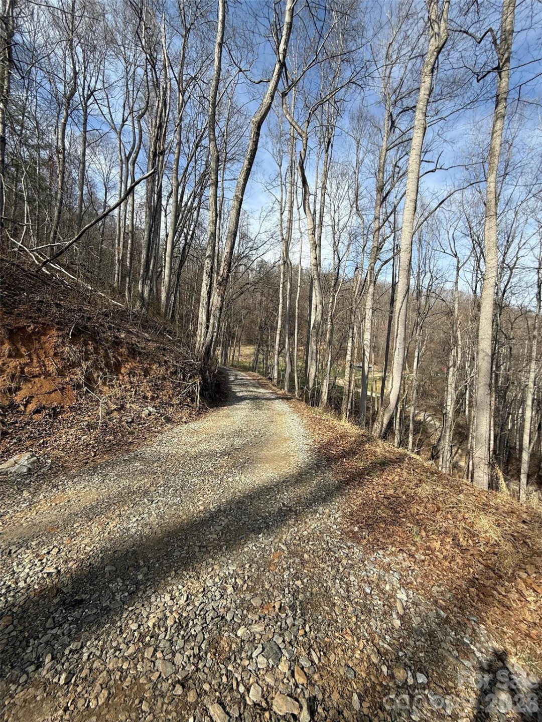 672 Porters Ridge - Photo 3