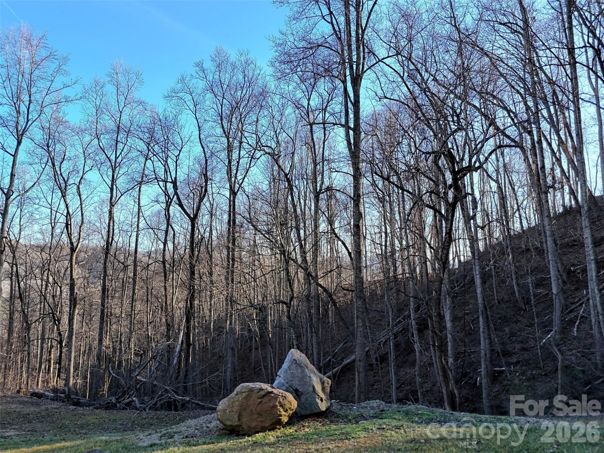 672 Porters Ridge - Photo 6