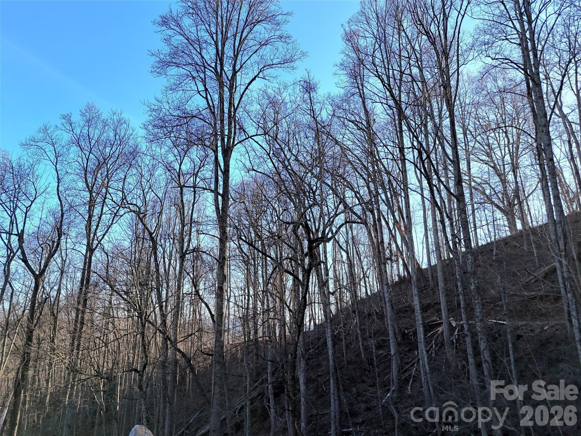 672 Porters Ridge - Photo 7