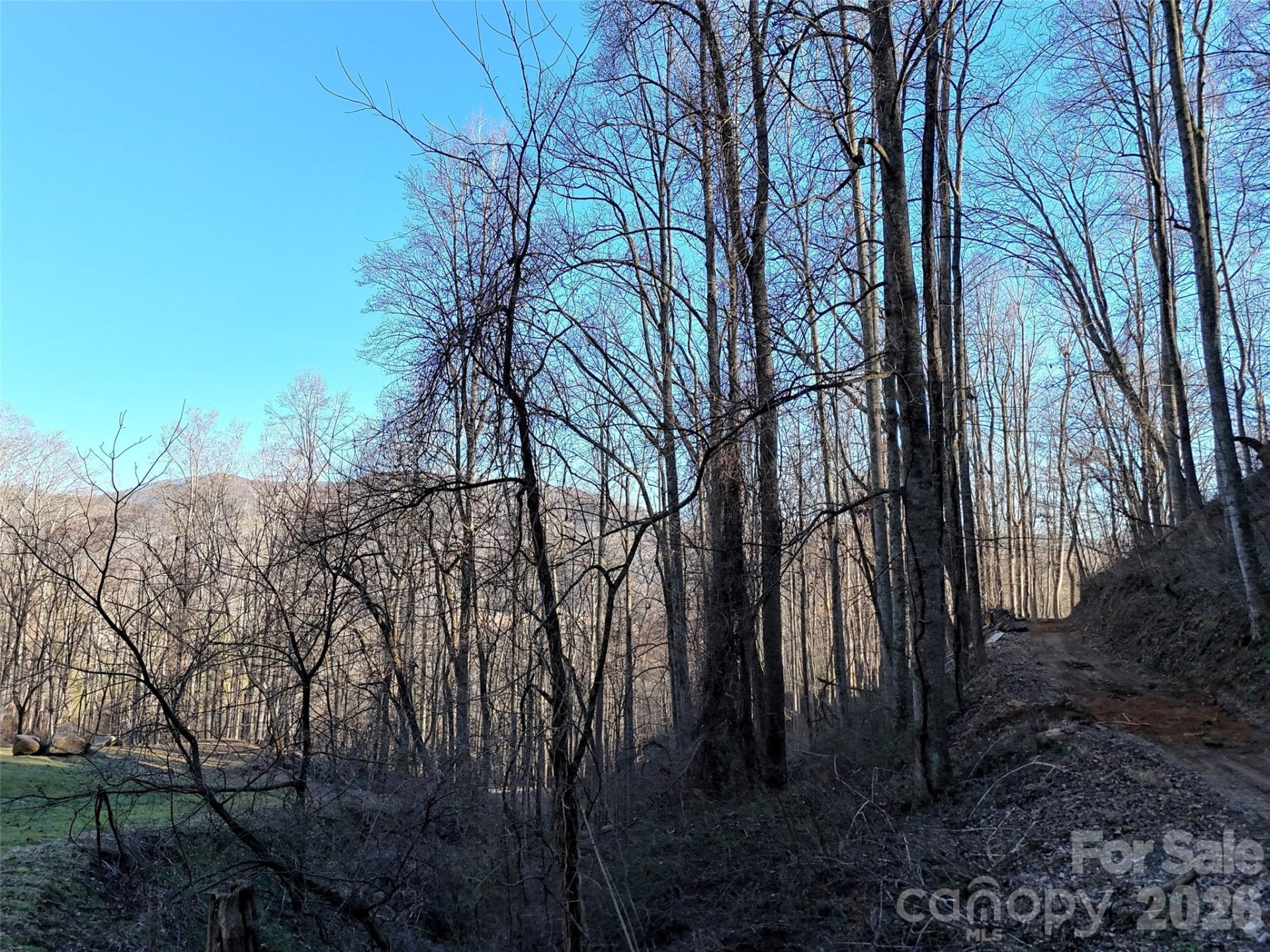 672 Porters Ridge - Photo 8