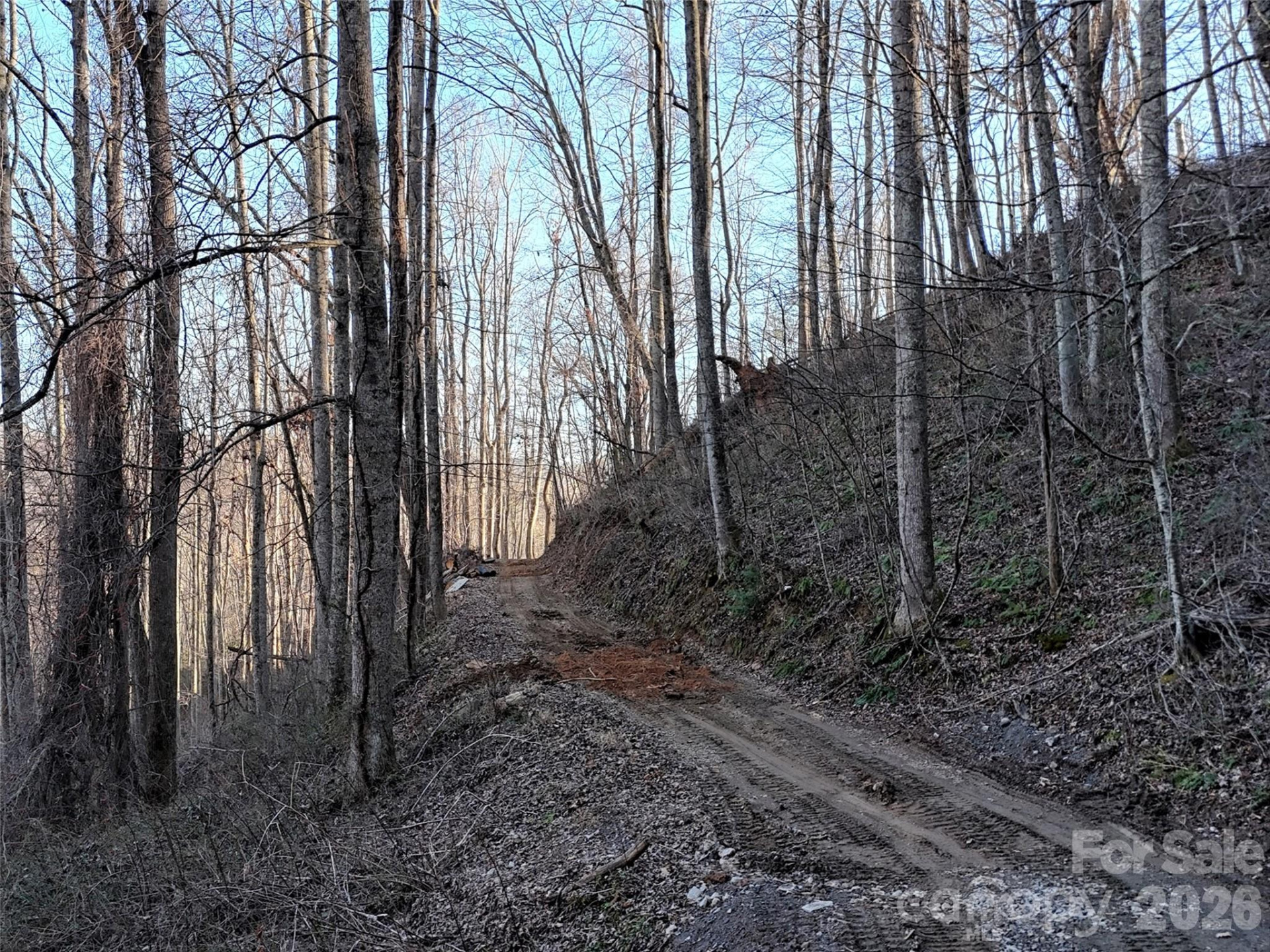 672 Porters Ridge - Photo 9