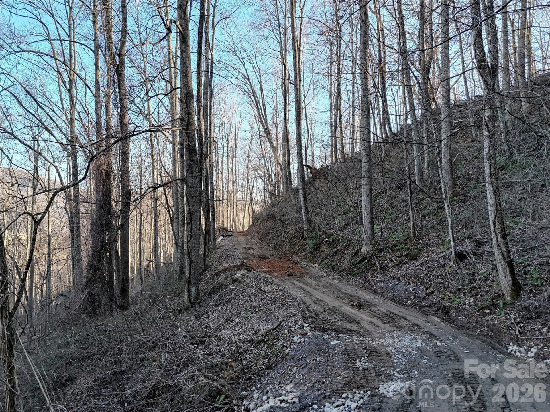 672 Porters Ridge - Photo 10