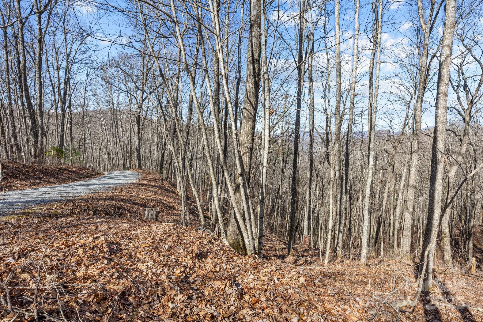 Lot F115 Leafy Knoll Circle - Photo 12