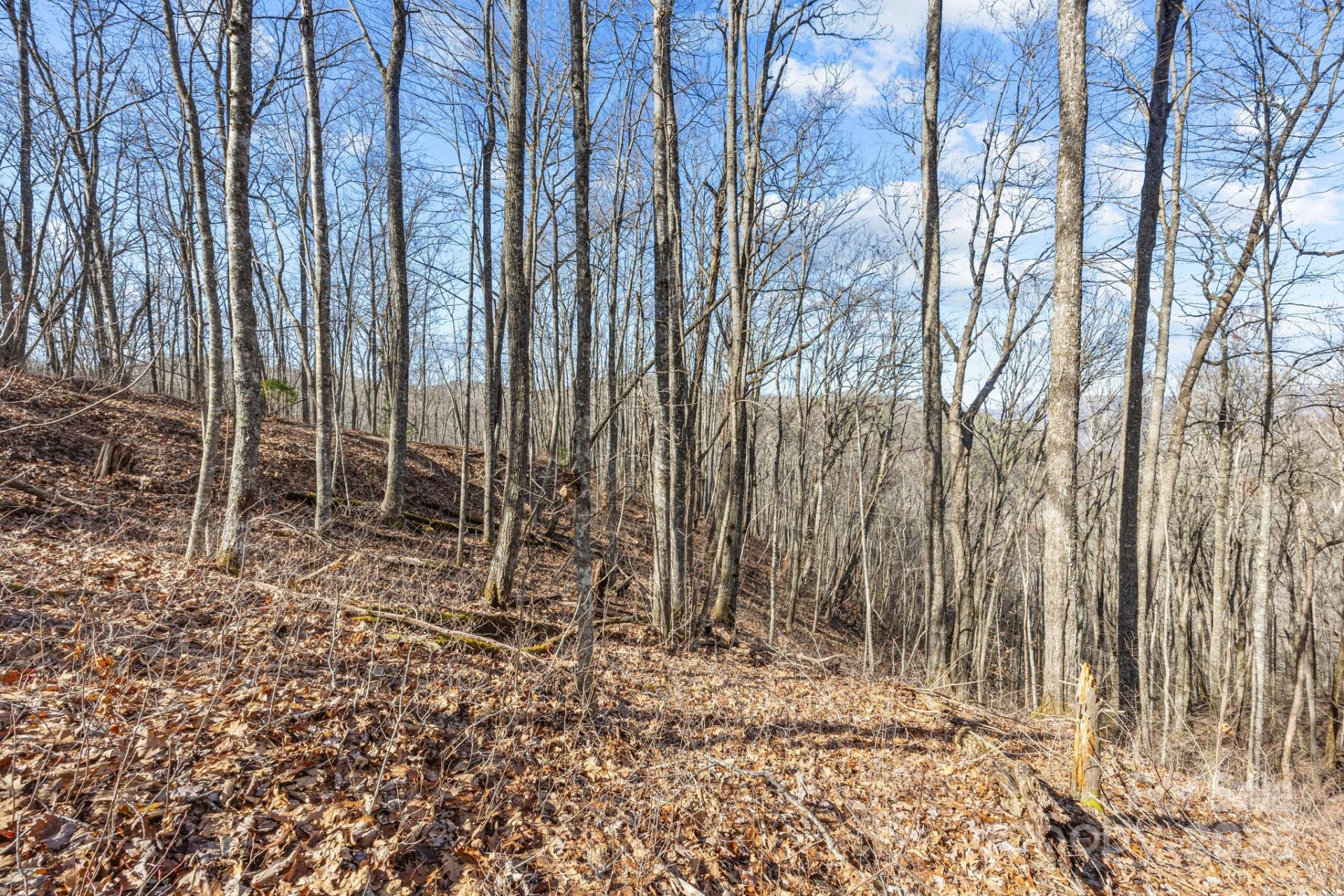 Lot F115 Leafy Knoll Circle - Photo 13