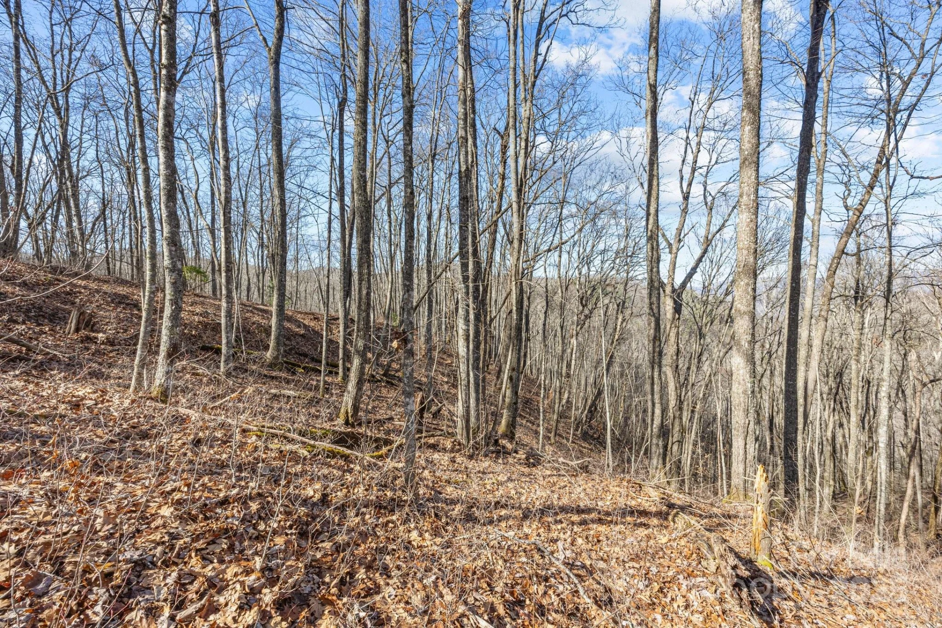 Lot F115 Leafy Knoll Circle - Photo 13