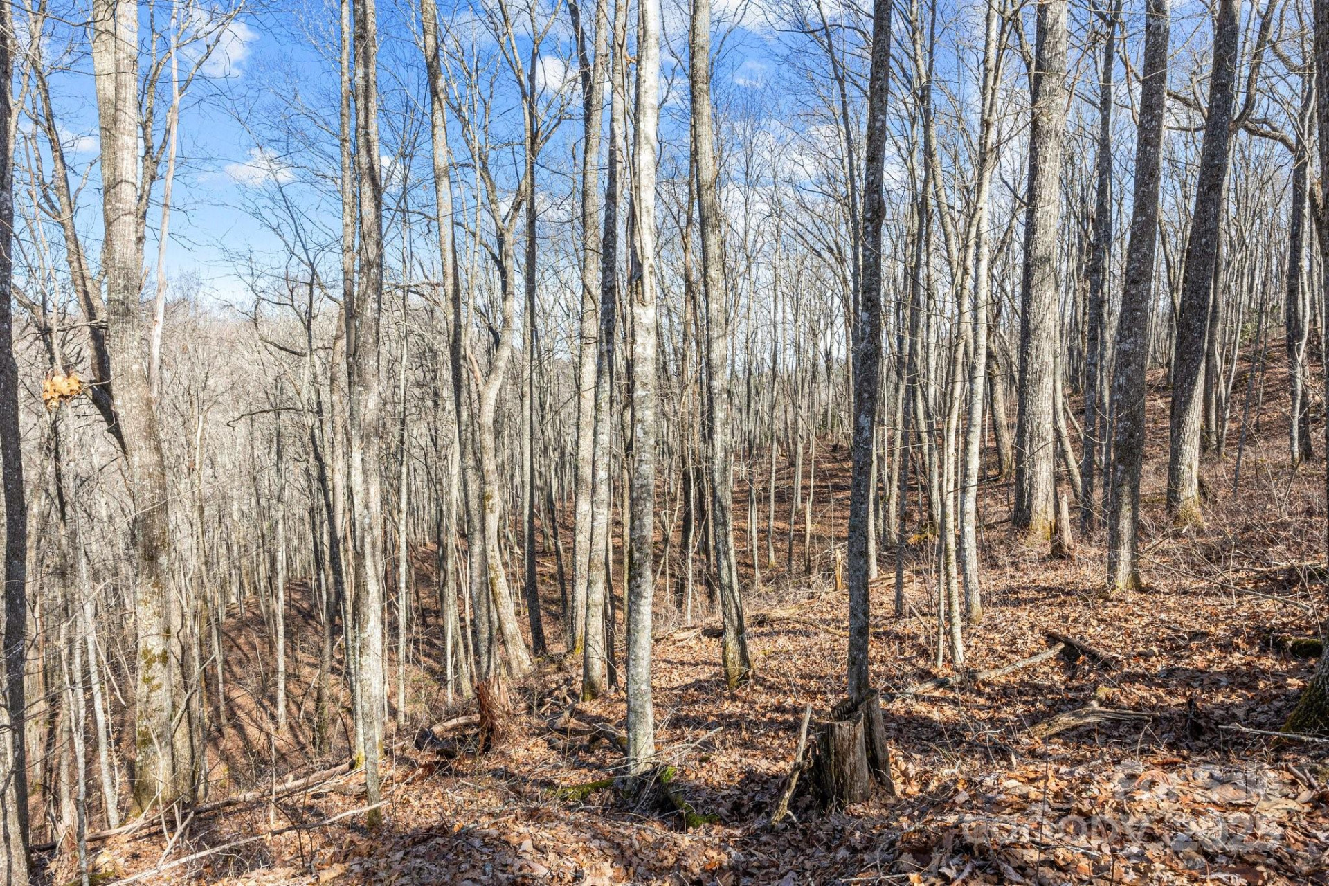 Lot F115 Leafy Knoll Circle - Photo 14