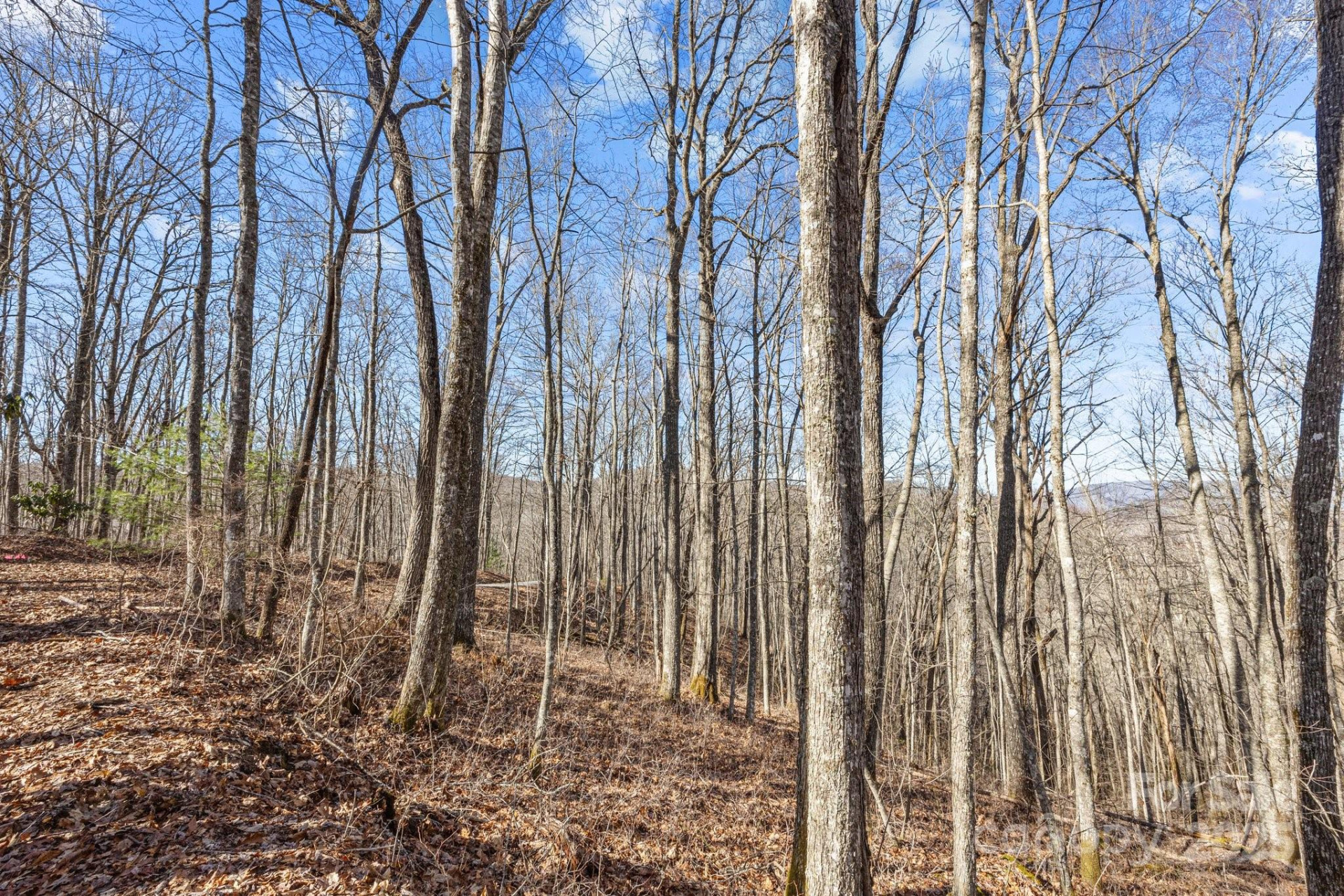 Lot F115 Leafy Knoll Circle - Photo 15