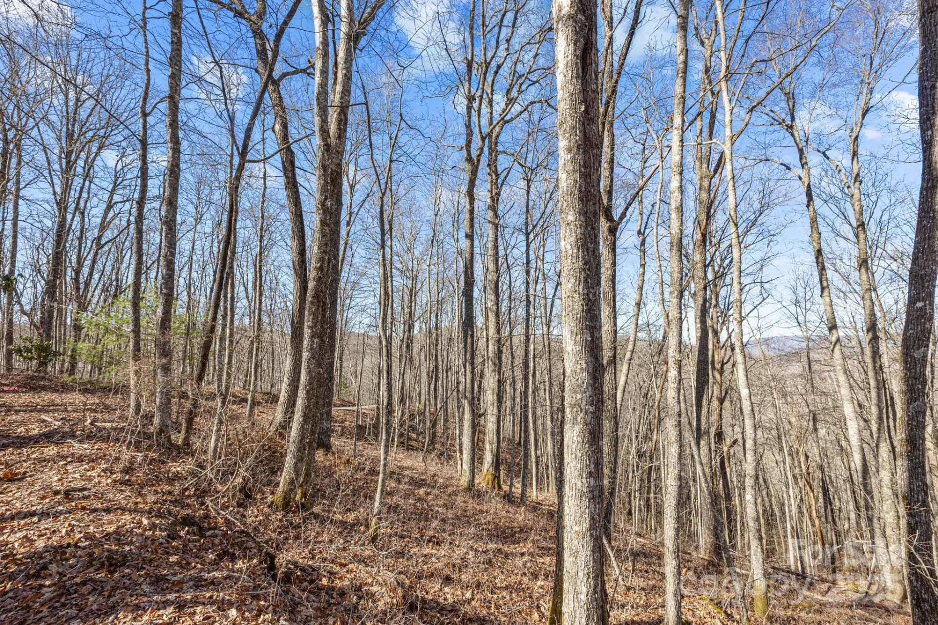 Lot F115 Leafy Knoll Circle - Photo 15