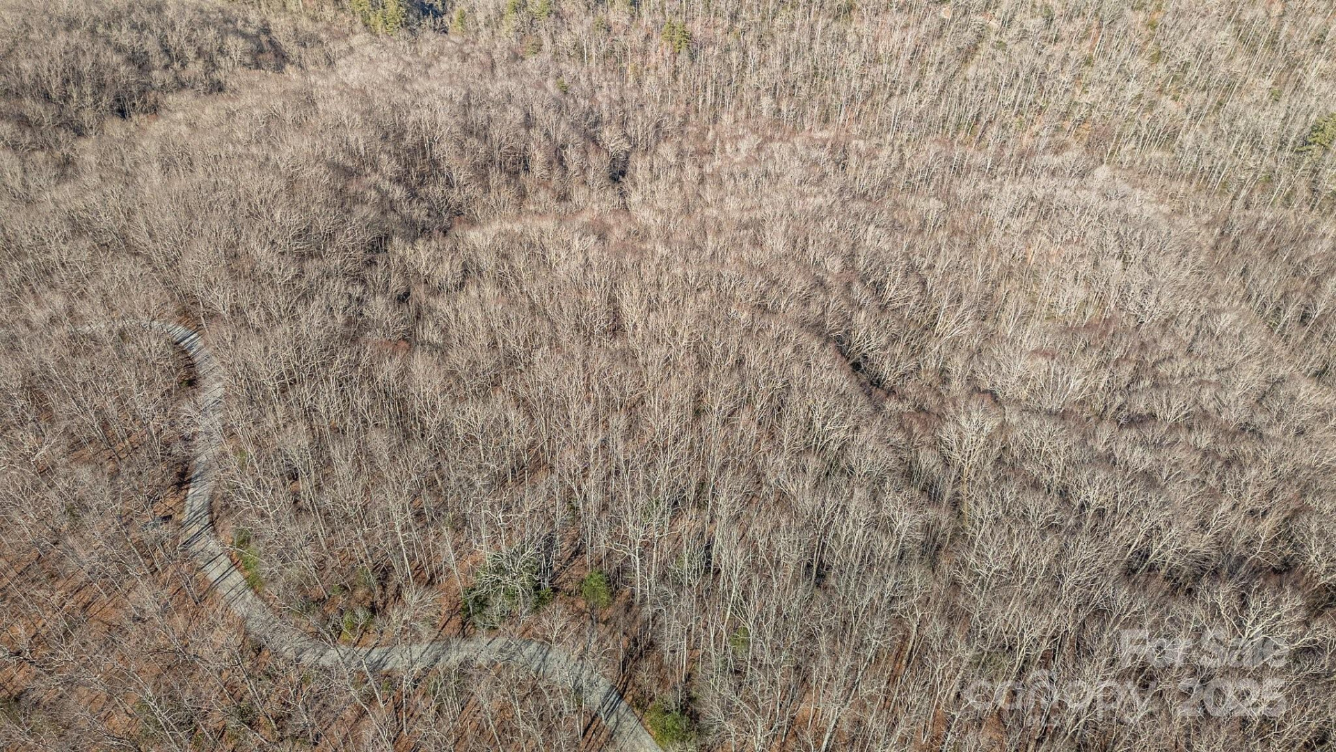 Lot F115 Leafy Knoll Circle - Photo 3