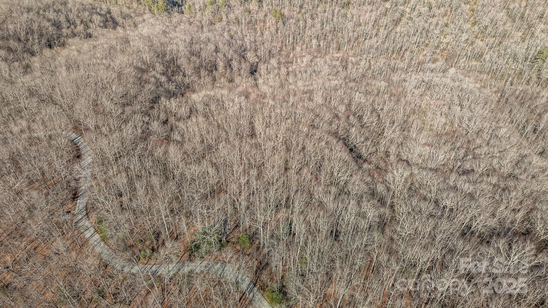 Lot F115 Leafy Knoll Circle - Photo 3