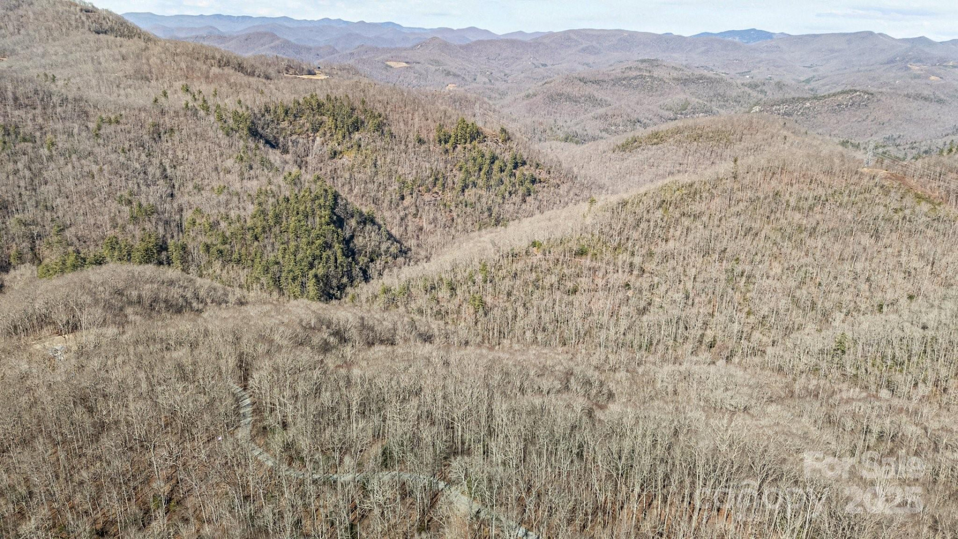 Lot F115 Leafy Knoll Circle - Photo 4