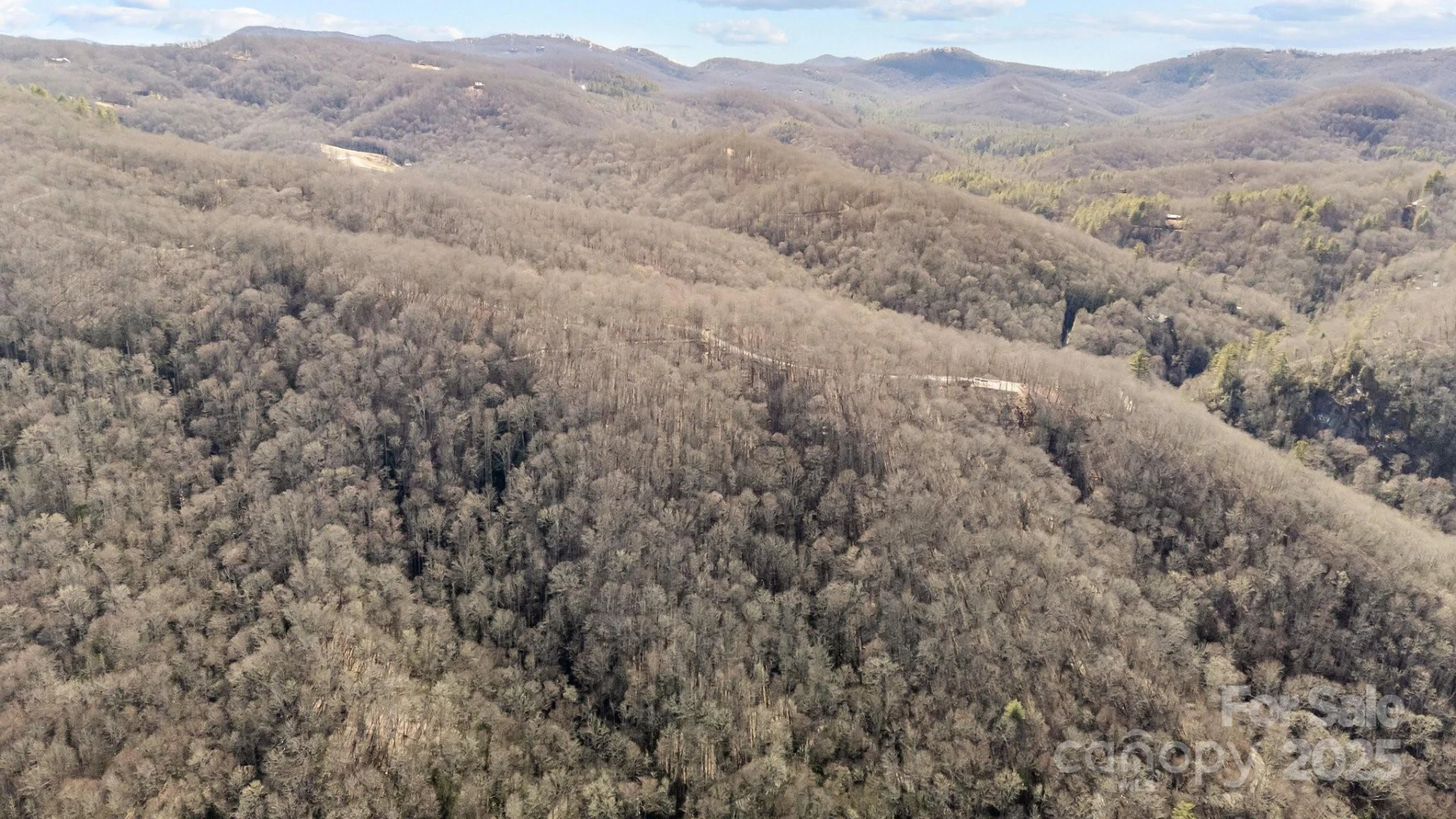 Lot F115 Leafy Knoll Circle - Photo 6