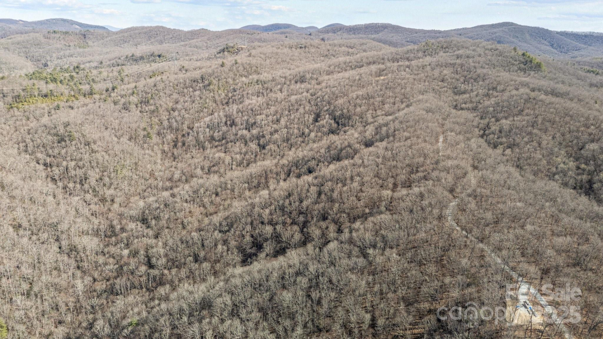 Lot F115 Leafy Knoll Circle - Photo 7