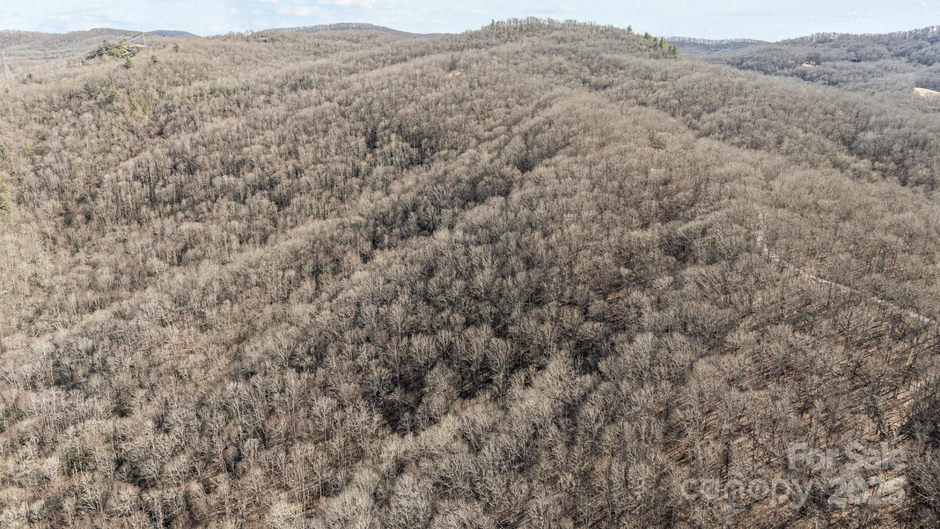 Lot F115 Leafy Knoll Circle - Photo 8