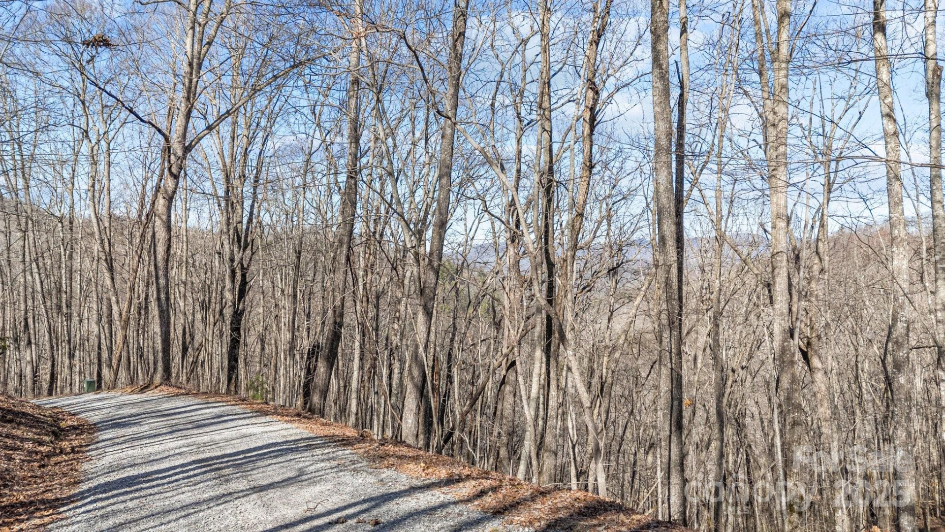 Lot F115 Leafy Knoll Circle - Photo 9