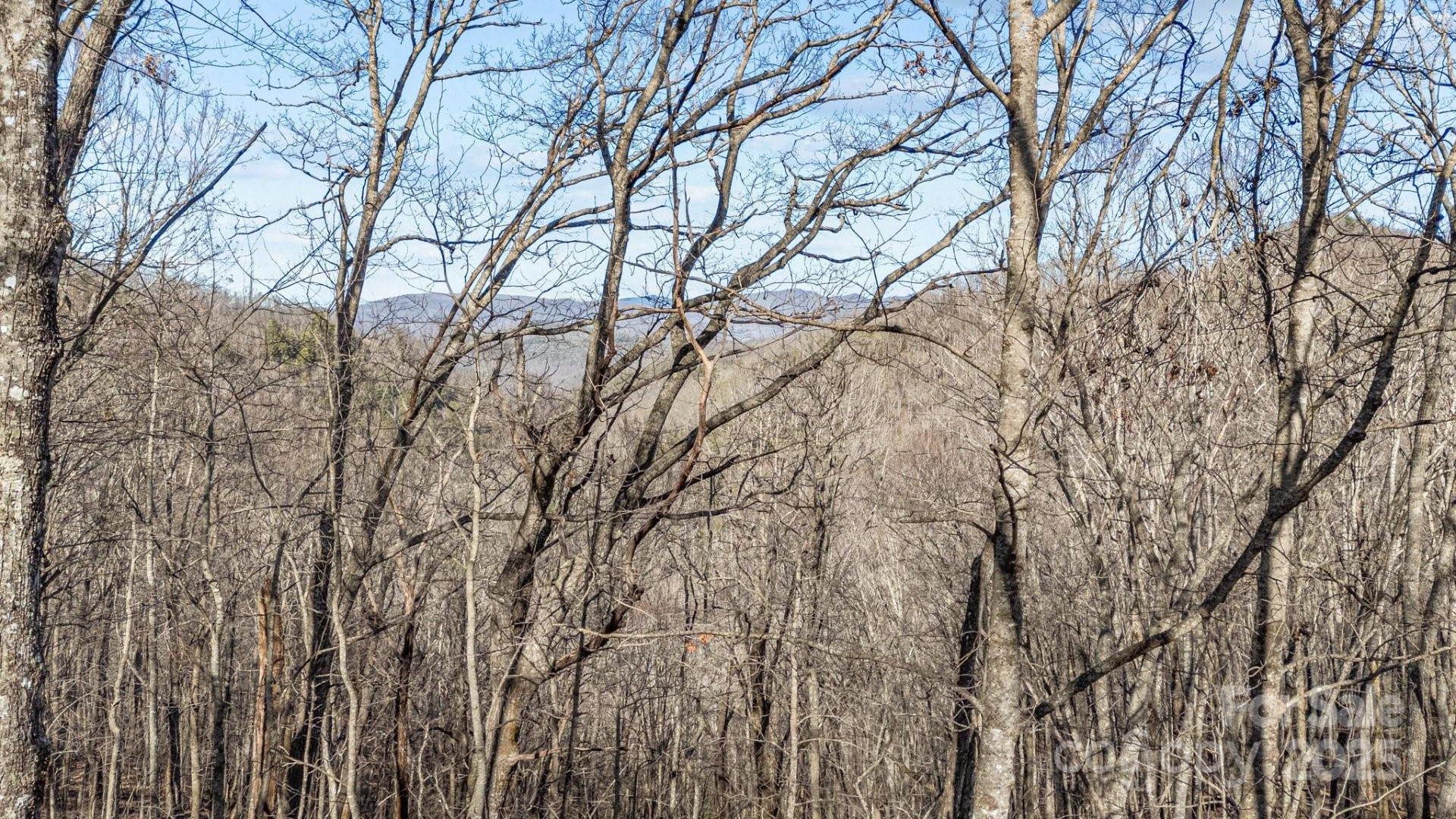 Lot F115 Leafy Knoll Circle - Photo 10