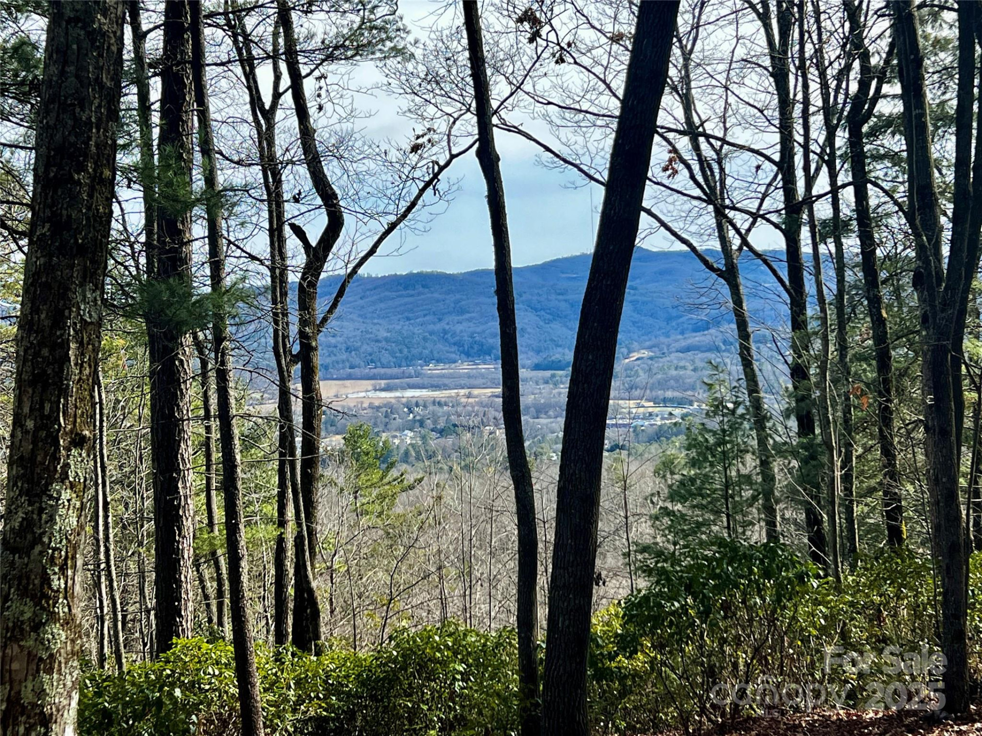 Camp 2 Long Ridge Road