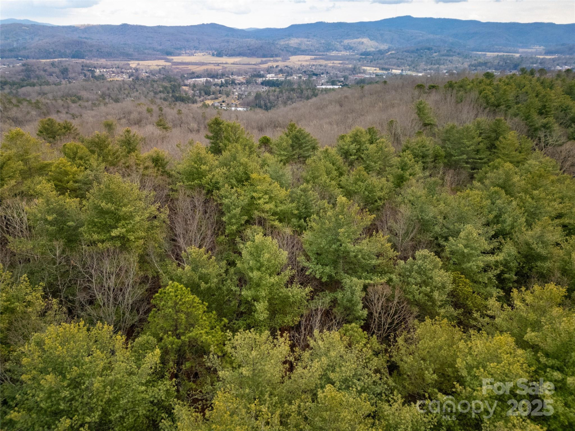Camp 2 Long Ridge Road - Photo 2