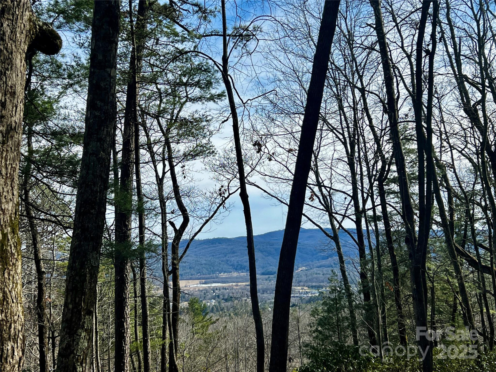 Camp 2 Long Ridge Road - Photo 14