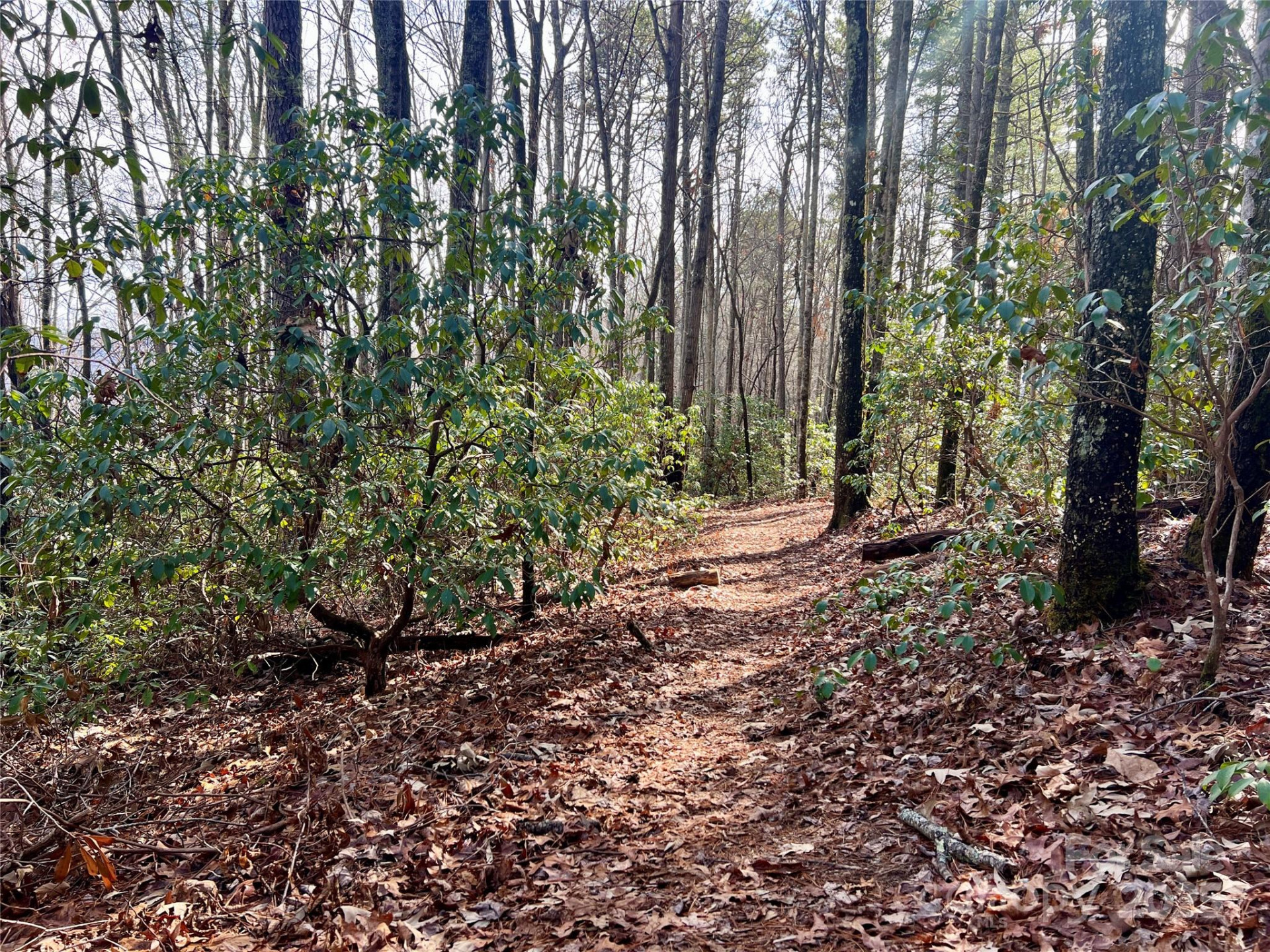 Camp 2 Long Ridge Road - Photo 25