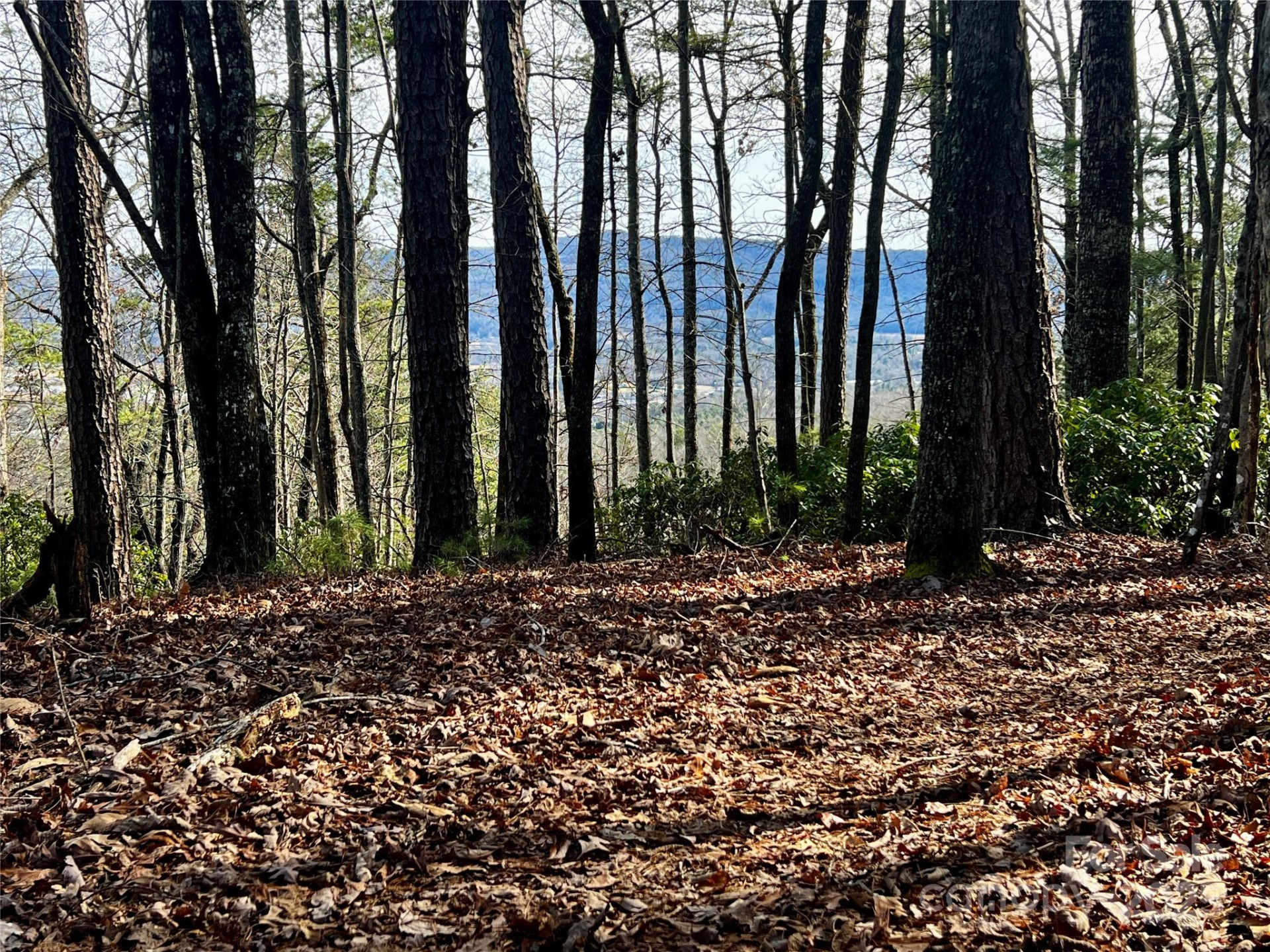 Camp 2 Long Ridge Road - Photo 8