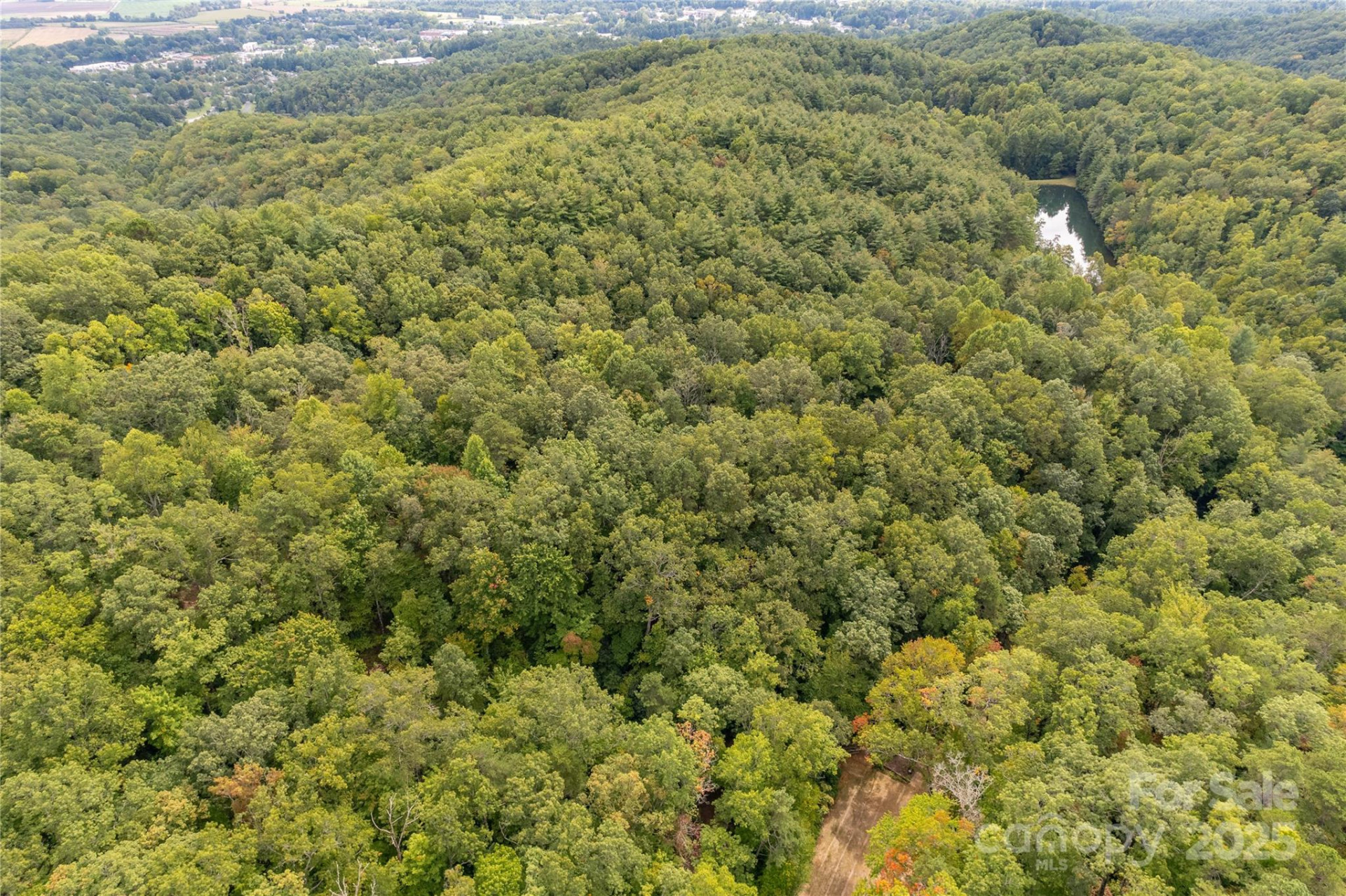 Camp 2 Long Ridge Road - Photo 9