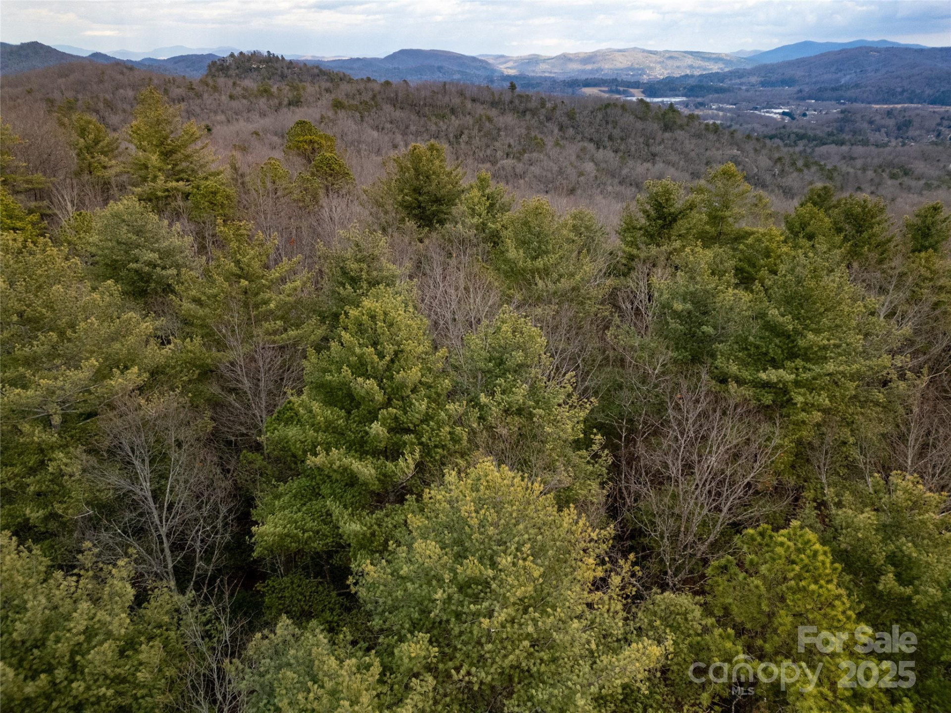 Camp 2 Long Ridge Road - Photo 10