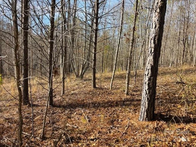0 Clearwater Parkway #238 - Photo 17
