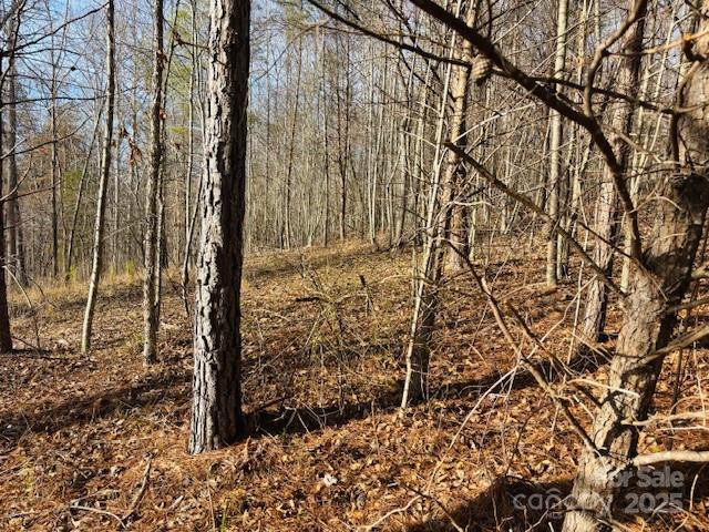 0 Clearwater Parkway #238 - Photo 18