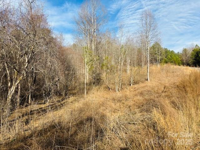 0 Clearwater Parkway #238 - Photo 5