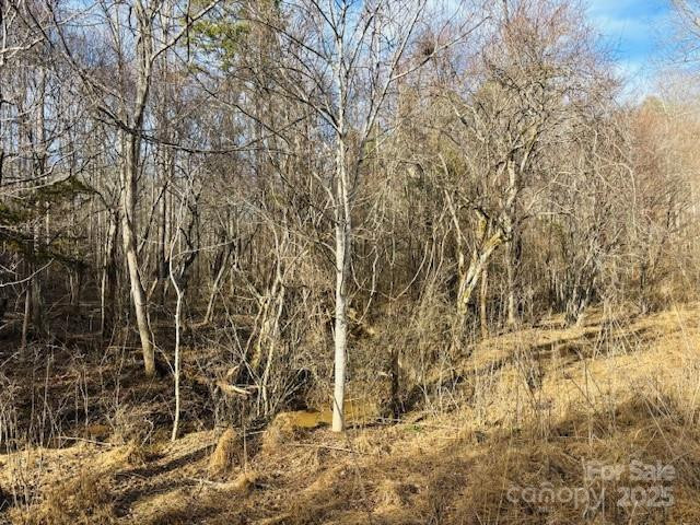 0 Clearwater Parkway #238 - Photo 7