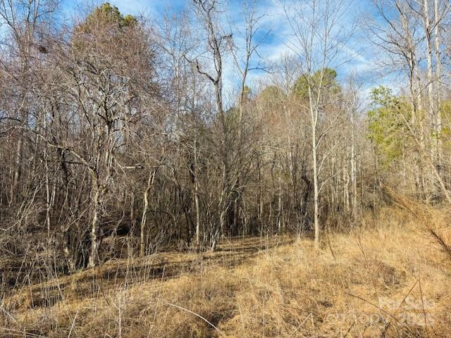 0 Clearwater Parkway #238 - Photo 9