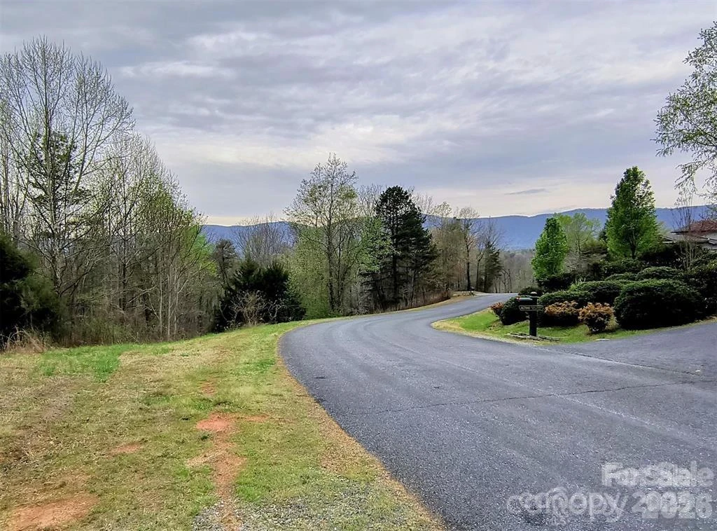 Lot #28 Lake Adger Parkway #28 - Photo 11