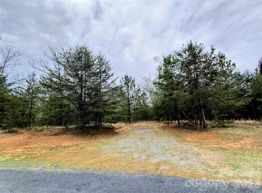 Lot #28 Lake Adger Parkway #28 - Photo 12