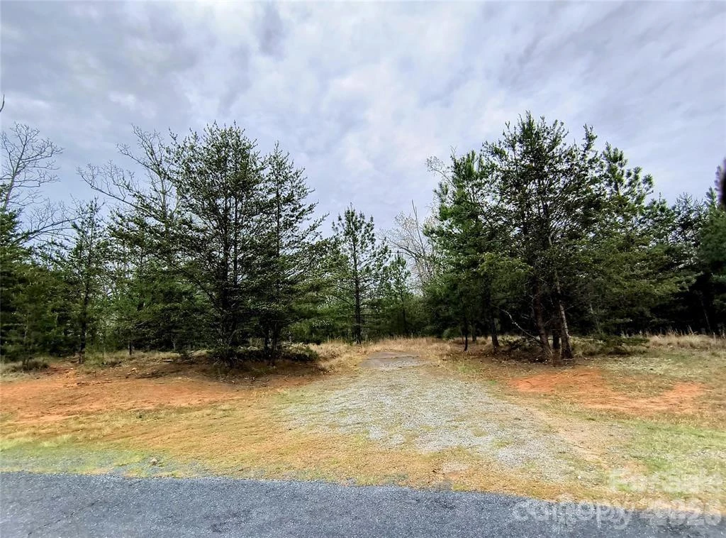 Lot #28 Lake Adger Parkway #28 - Photo 12