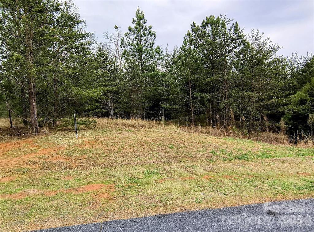 Lot #28 Lake Adger Parkway #28 - Photo 13